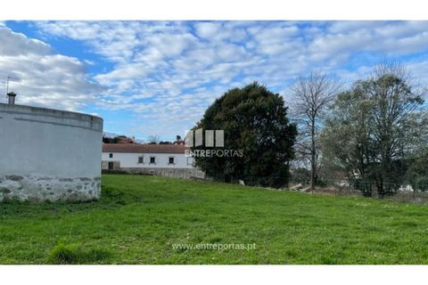 Helårsgrund i Viana do Castelo, Viana do Castelo, Viana do Castelo - € 70.000 | Ref: VCC14196 - foto 11