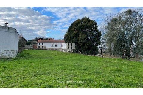 Helårsgrund i Viana do Castelo, Viana do Castelo, Viana do Castelo - € 70.000 | Ref: VCC14196 - foto 19