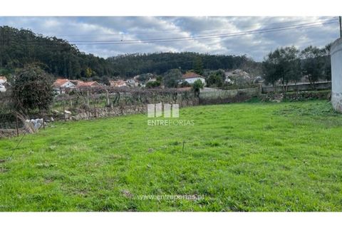 Helårsgrund i Viana do Castelo, Viana do Castelo, Viana do Castelo - € 70.000 | Ref: VCC14196 - foto 23