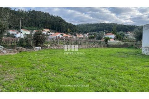 Helårsgrund i Viana do Castelo, Viana do Castelo, Viana do Castelo - € 70.000 | Ref: VCC14196 - foto 27