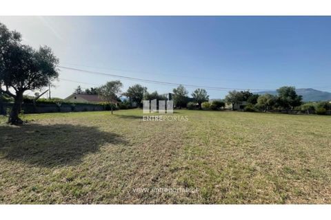 Helårsgrund i Viana do Castelo, Viana do Castelo, Viana do Castelo - € 190.000 | Ref: VCM14045 - foto 4