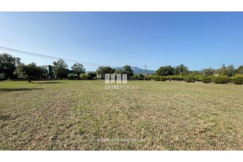 Helårsgrund i Viana do Castelo, Viana do Castelo, Viana do Castelo - € 190.000 | Ref: VCM14045 - foto 5