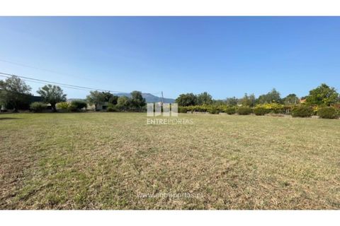 Helårsgrund i Viana do Castelo, Viana do Castelo, Viana do Castelo - € 190.000 | Ref: VCM14045 - foto 6