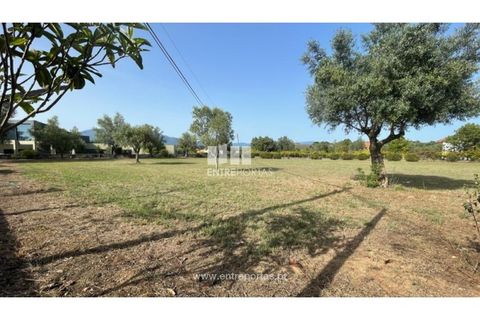 Helårsgrund i Viana do Castelo, Viana do Castelo, Viana do Castelo - € 190.000 | Ref: VCM14045 - foto 7