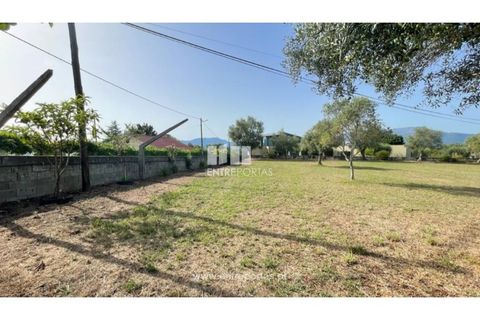 Helårsgrund i Viana do Castelo, Viana do Castelo, Viana do Castelo - € 190.000 | Ref: VCM14045 - foto 9