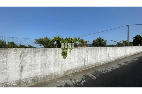 Helårsgrund i Viana do Castelo, Viana do Castelo, Viana do Castelo - € 190.000 | Ref: VCM14045 - foto 11