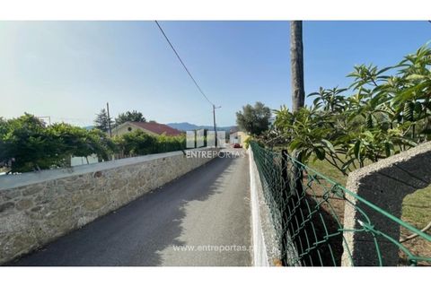 Helårsgrund i Viana do Castelo, Viana do Castelo, Viana do Castelo - € 190.000 | Ref: VCM14045 - foto 14