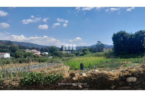 Helårsgrund i Caminha, Viana do Castelo, Caminha - € 120.000 | Ref: C02671 - foto 8