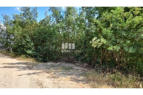 Helårsgrund i Gondomar, Porto, Gondomar - € 50.000 | Ref: MC09527 - foto 2