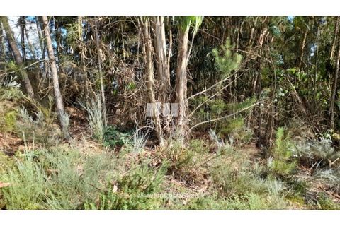 Helårsgrund i Gondomar, Porto, Gondomar - € 50.000 | Ref: MC09527 - foto 18