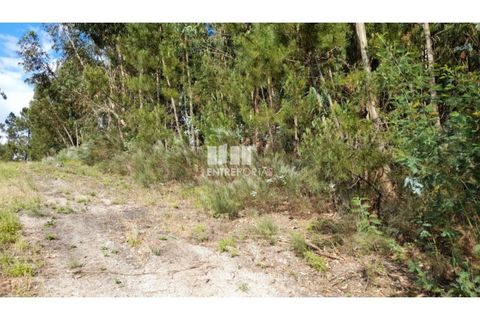 Helårsgrund i Gondomar, Porto, Gondomar - € 50.000 | Ref: MC09527 - foto 26