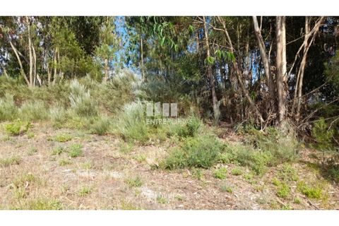 Helårsgrund i Gondomar, Porto, Gondomar - € 50.000 | Ref: MC09527 - foto 27