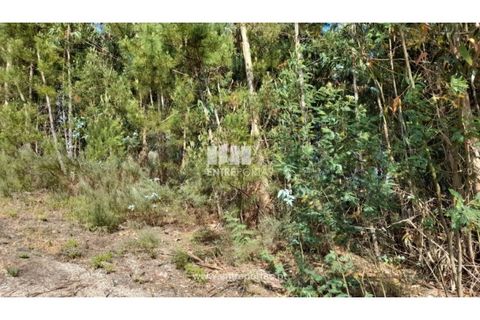Helårsgrund i Gondomar, Porto, Gondomar - € 50.000 | Ref: MC09527 - foto 28