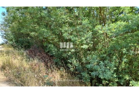 Helårsgrund i Gondomar, Porto, Gondomar - € 50.000 | Ref: MC09527 - foto 30
