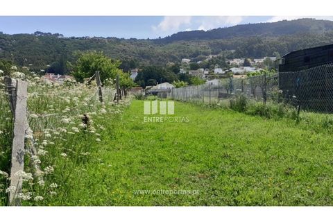 Helårsgrund i Caminha, Viana do Castelo, Caminha - € 45.500 | Ref: C02658 - foto 1