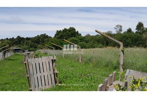 Helårsgrund i Caminha, Viana do Castelo, Caminha - € 45.500 | Ref: C02658 - foto 5