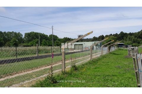 Helårsgrund i Caminha, Viana do Castelo, Caminha - € 45.500 | Ref: C02658 - foto 10