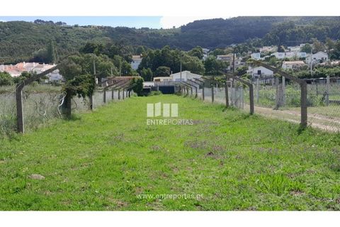 Helårsgrund i Caminha, Viana do Castelo, Caminha - € 45.500 | Ref: C02658 - foto 11