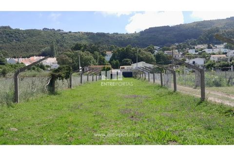 Helårsgrund i Caminha, Viana do Castelo, Caminha - € 45.500 | Ref: C02658 - foto 12