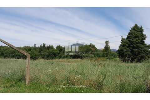 Helårsgrund i Caminha, Viana do Castelo, Caminha - € 45.500 | Ref: C02658 - foto 13
