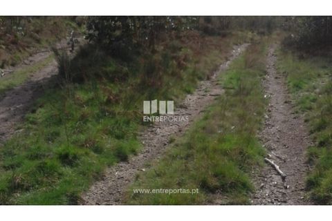Helårsgrund i Penafiel, Porto, Penafiel - € 9.000 | Ref: MC09519 - foto 8