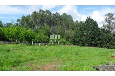 Helårsgrund i Viana do Castelo, Viana do Castelo, Viana do Castelo - € 185.000 | Ref: 7065 - foto 1