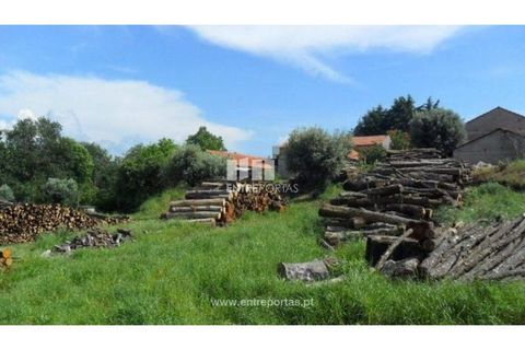 Helårsgrund i Viana do Castelo, Viana do Castelo, Viana do Castelo - € 185.000 | Ref: 7065 - foto 26