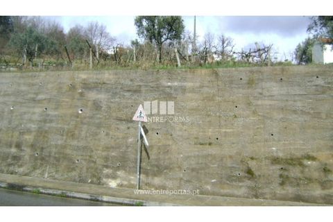 Terreno en Baiao, Porto, Baiao - € 160.000 | Ref: MC02321 - photo 3
