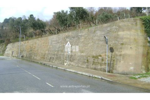 Terreno en Baiao, Porto, Baiao - € 160.000 | Ref: MC02321 - photo 4
