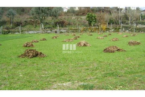 Terreno en Baiao, Porto, Baiao - € 160.000 | Ref: MC02321 - photo 5