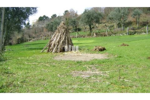 Terreno en Baiao, Porto, Baiao - € 160.000 | Ref: MC02321 - photo 6