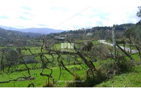 Terreno en Baiao, Porto, Baiao - € 160.000 | Ref: MC02321 - photo 7