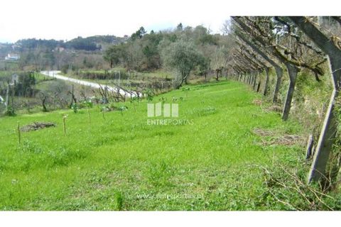 Terreno en Baiao, Porto, Baiao - € 160.000 | Ref: MC02321 - photo 8