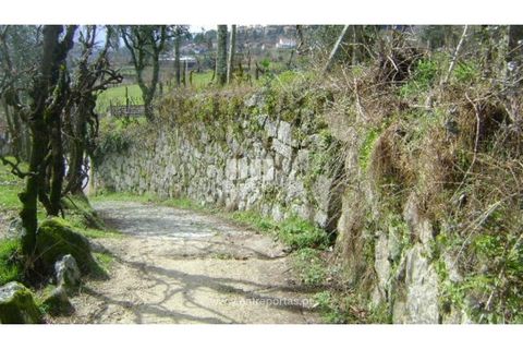 Terreno en Baiao, Porto, Baiao - € 160.000 | Ref: MC02321 - photo 9