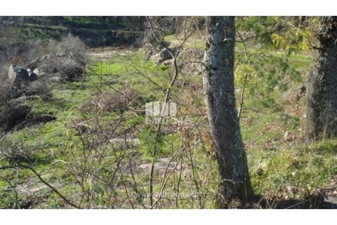 Terra a Baiao, Porto, Baiao - € 42.500 | Ref: MC04106 - foto 3