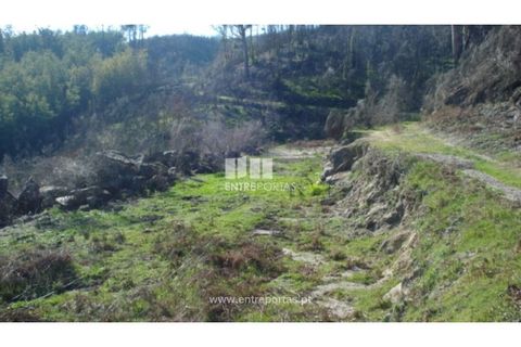 Terra a Baiao, Porto, Baiao - € 42.500 | Ref: MC04106 - foto 4