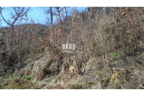 Terra a Baiao, Porto, Baiao - € 42.500 | Ref: MC04106 - foto 5