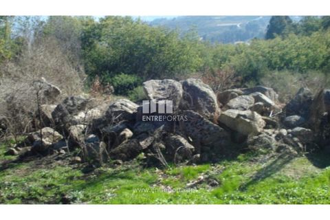 Terra a Baiao, Porto, Baiao - € 42.500 | Ref: MC04106 - foto 7