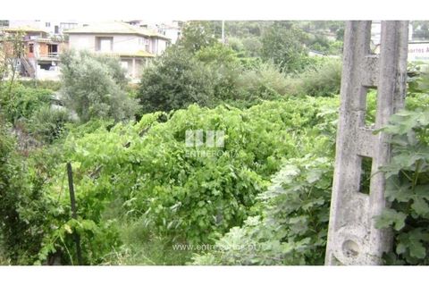 Grond in Baiao, Porto, Baiao - € 27.500 | Ref: MC05353 - foto 4