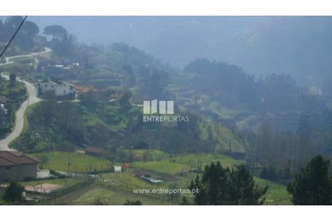 Terra a Baiao, Porto, Baiao - € 22.500 | Ref: MC05711 - foto 2