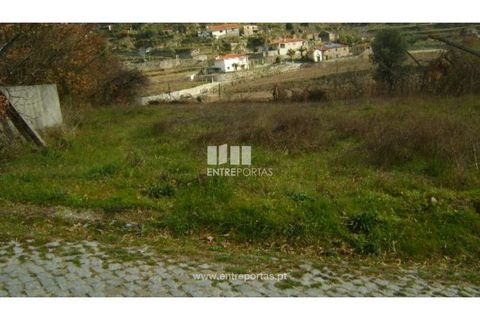 Terra a Baiao, Porto, Baiao - € 22.500 | Ref: MC05711 - foto 5