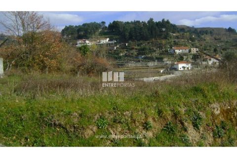 Terra a Baiao, Porto, Baiao - € 22.500 | Ref: MC05711 - foto 7