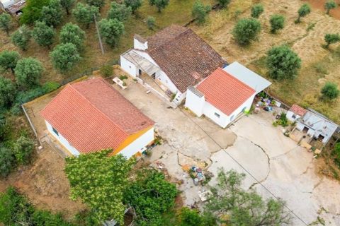 Gård i Borba, Evora, Borba - € 498 000 | Ref: MAS_497 - foto 3