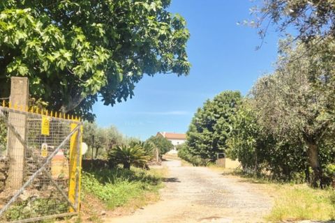 Gård i Borba, Evora, Borba - € 498 000 | Ref: MAS_497 - foto 12