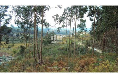 Terra a Galegos, Porto, Galegos - € 21.000 | Ref: MC06301 - foto 5