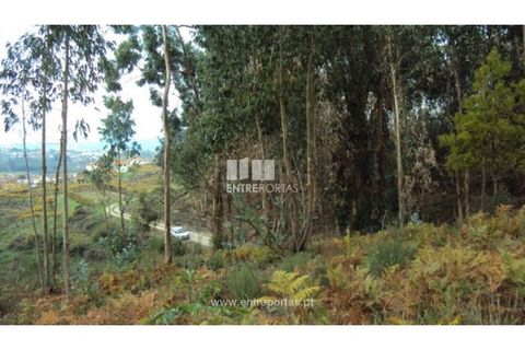 Terra a Galegos, Porto, Galegos - € 21.000 | Ref: MC06301 - foto 9