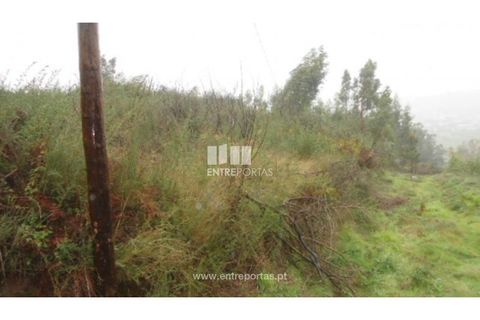 Helårsgrund i Penafiel, Porto, Penafiel - € 70.000 | Ref: MC06554 - foto 2