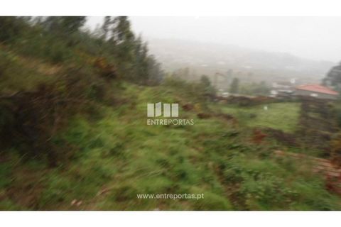 Helårsgrund i Penafiel, Porto, Penafiel - € 70.000 | Ref: MC06554 - foto 3