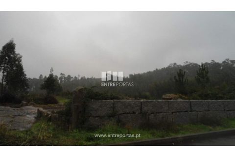 Helårsgrund i Penafiel, Porto, Penafiel - € 70.000 | Ref: MC06554 - foto 5