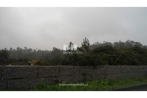 Helårsgrund i Penafiel, Porto, Penafiel - € 70.000 | Ref: MC06554 - foto 6